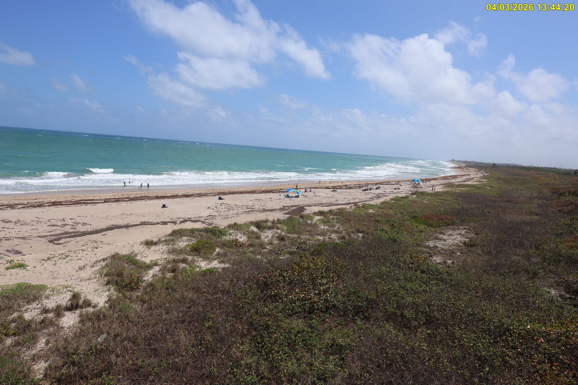 South Wide View of Hobe Sound NWR Beach