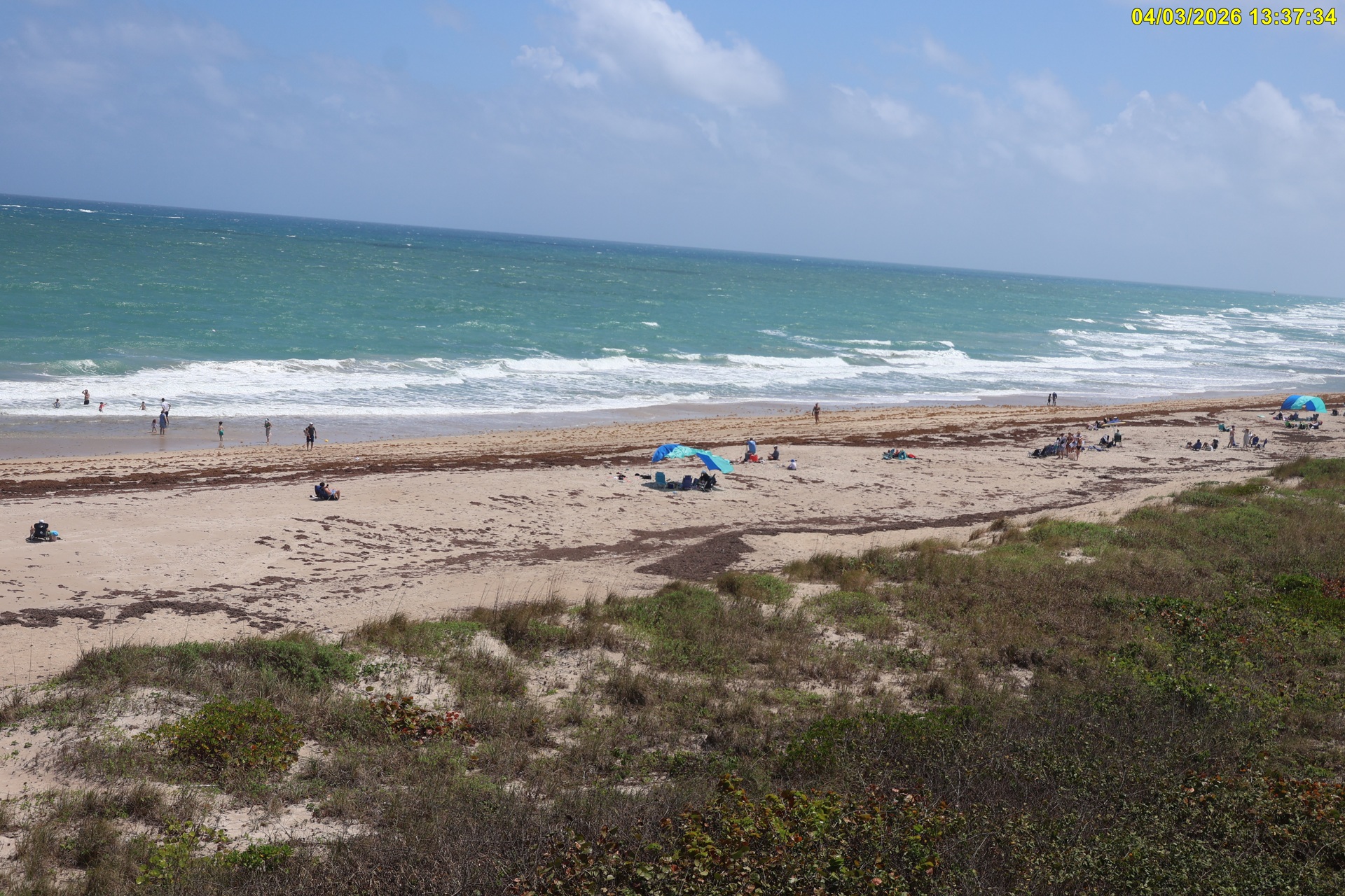 South Zoomed View of Hobe Sound National Wildlife Refuge Beach