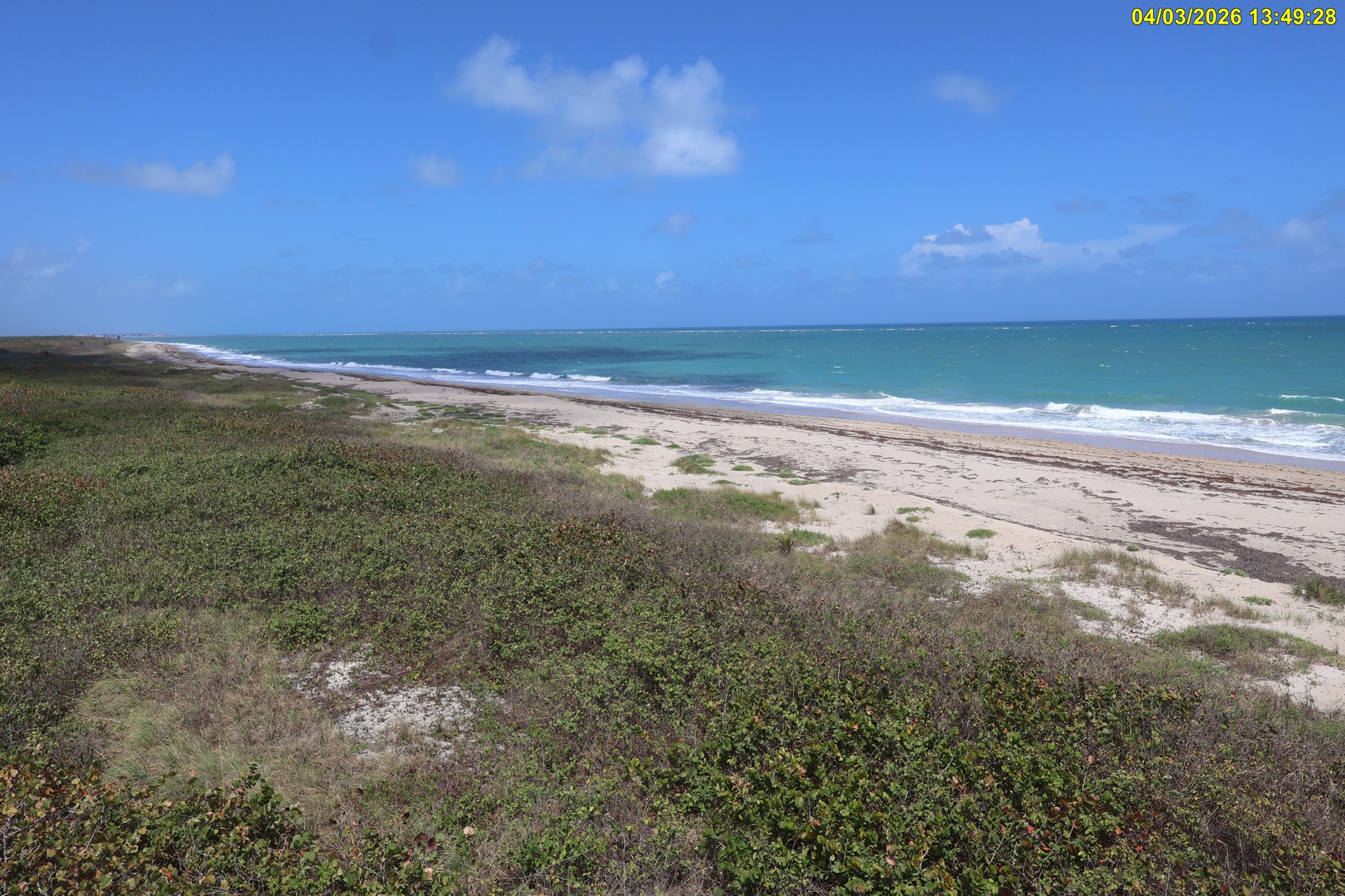 North View of Hobe Sound NWR Beach