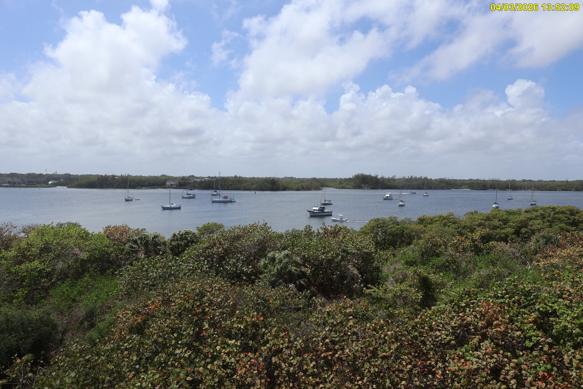 Peck Lake view from Hobe Sound NWR webcam