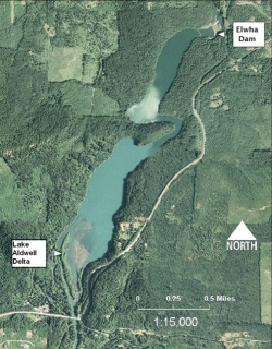 Lake Aldwell Topographical Map