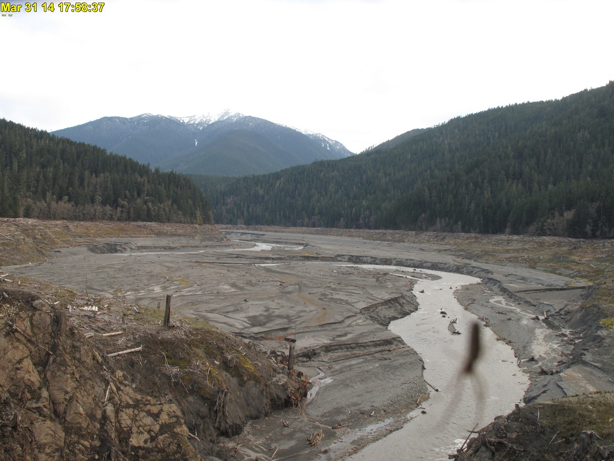 Latest Pic from Lower Lake Mills