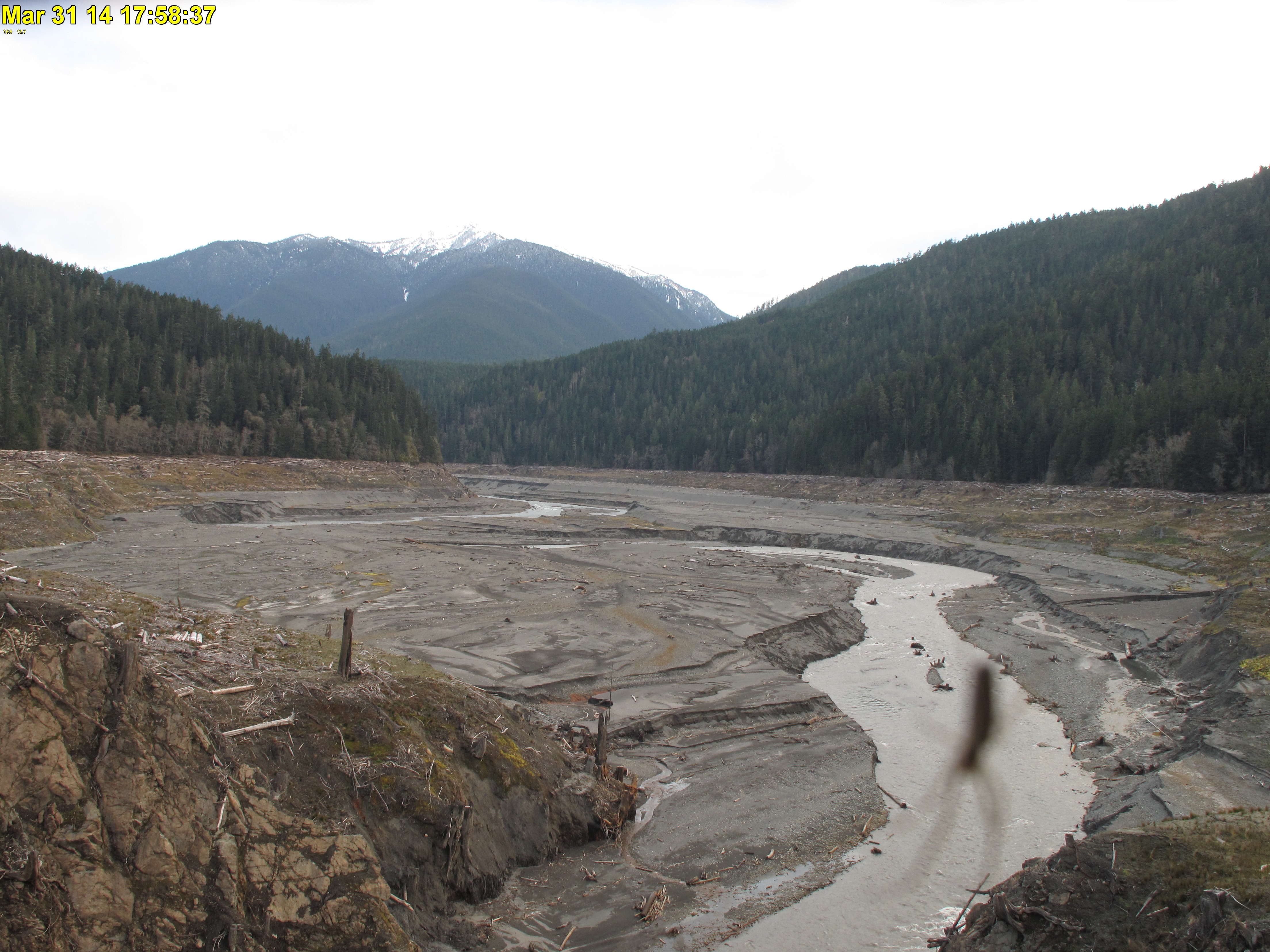 Latest Pic from Lower Lake Mills