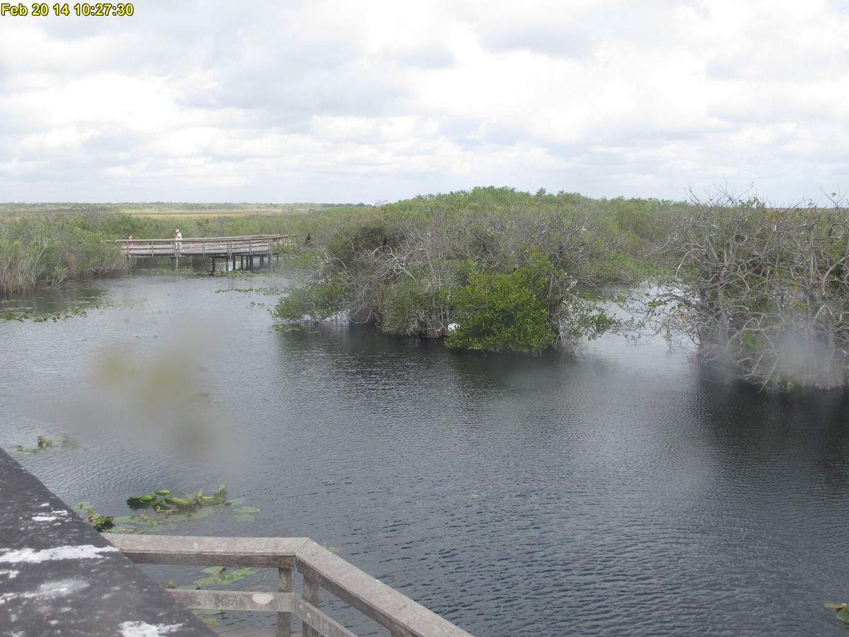 NPS Everglades National Park cam