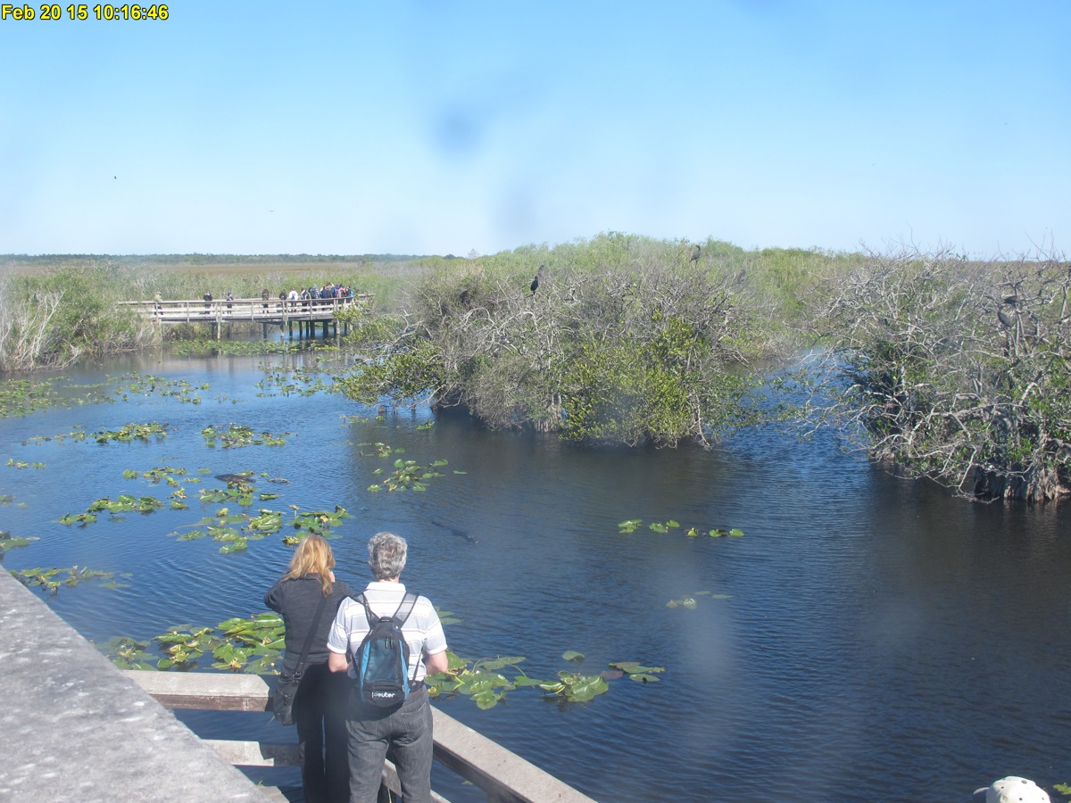 NPS Everglades National Park cam