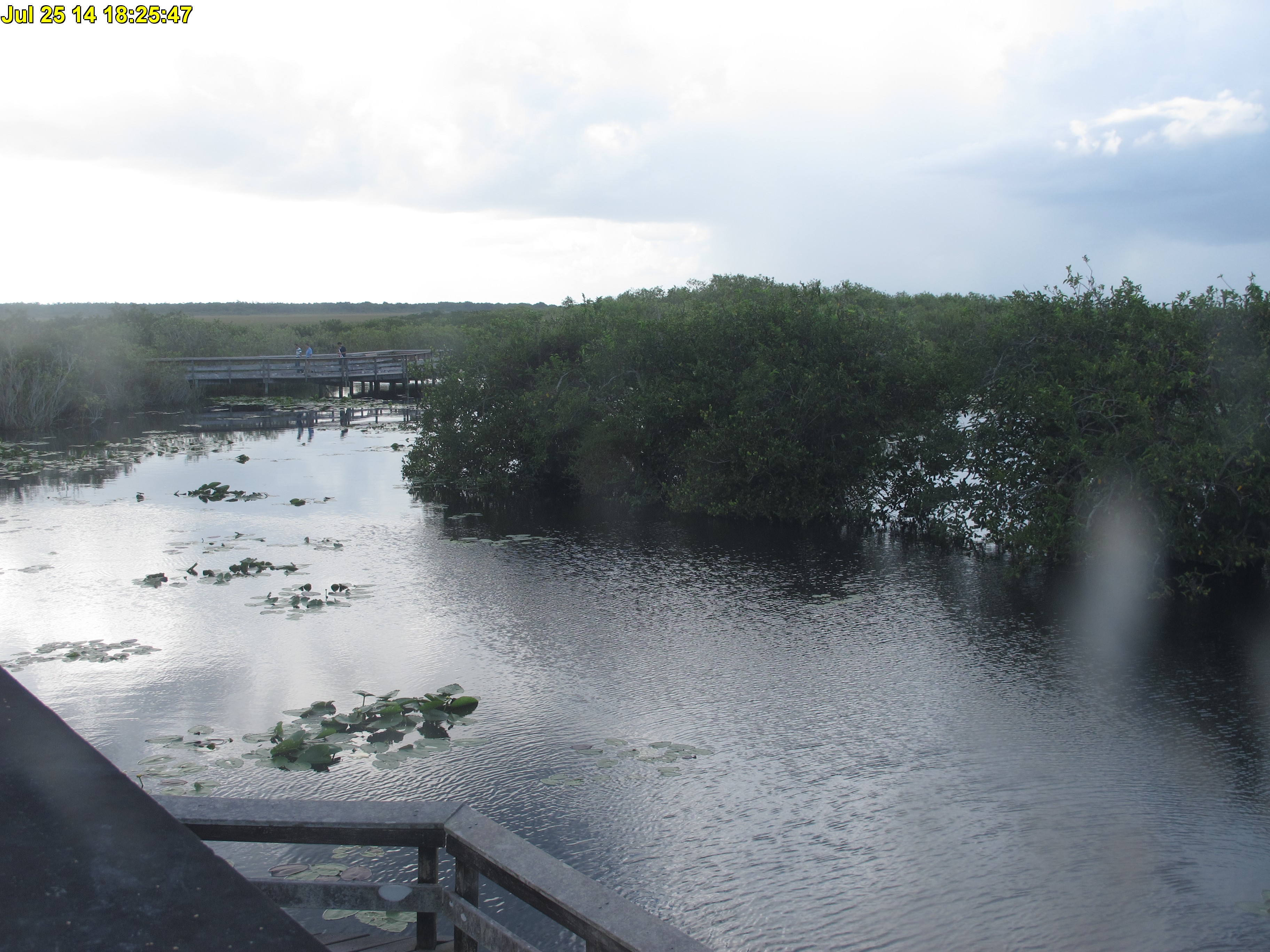NPS Everglades National Park cam