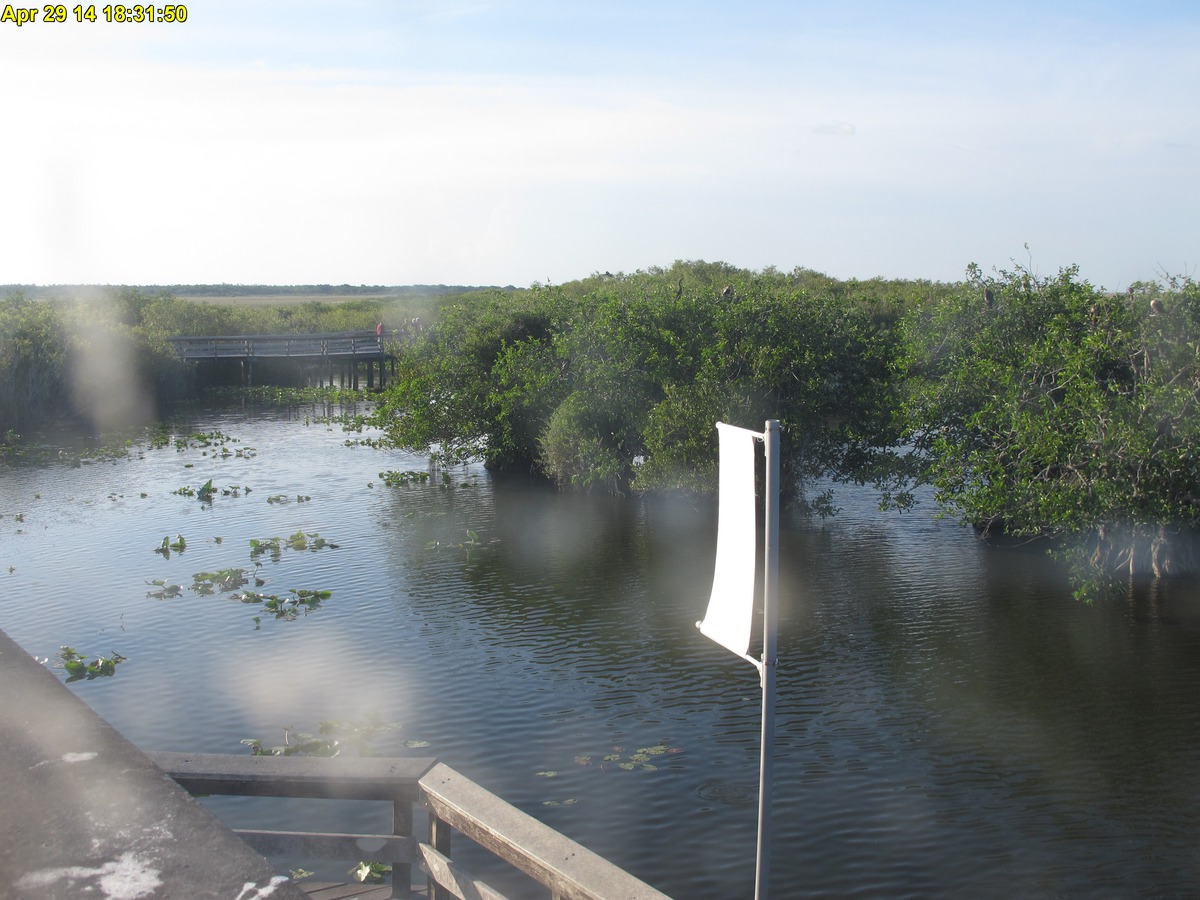 NPS Everglades National Park cam