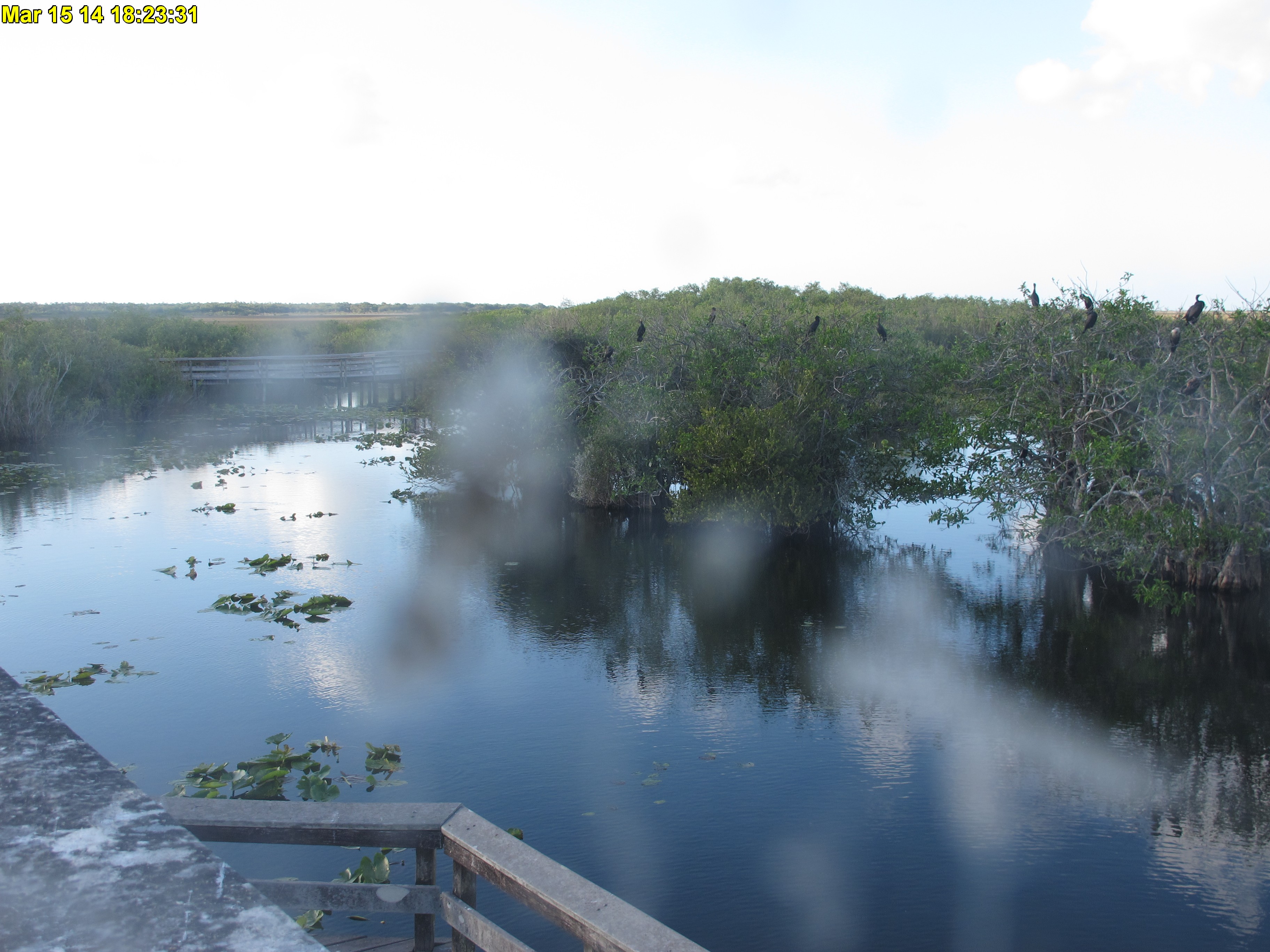 NPS Everglades National Park cam