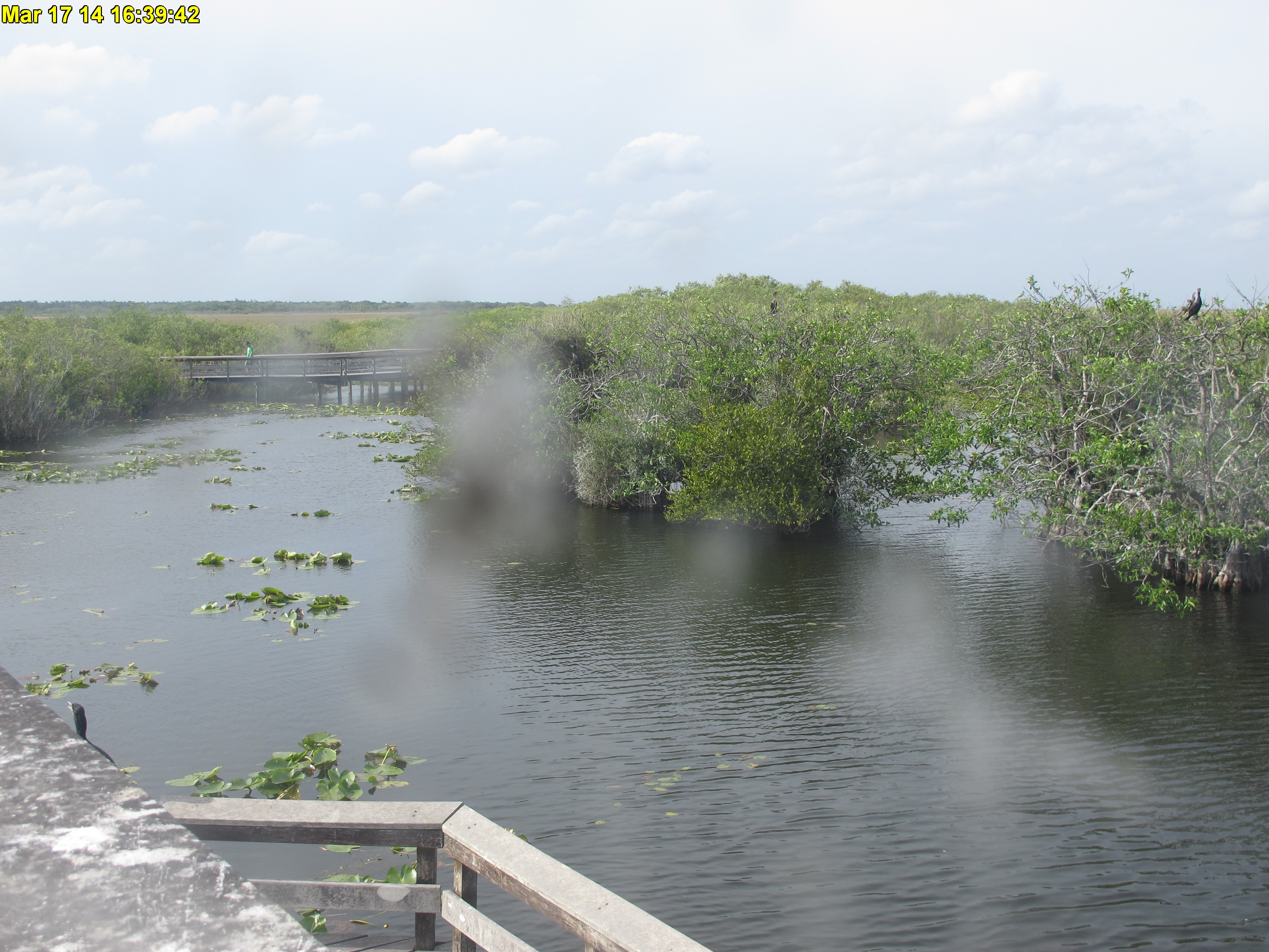 NPS Everglades National Park cam