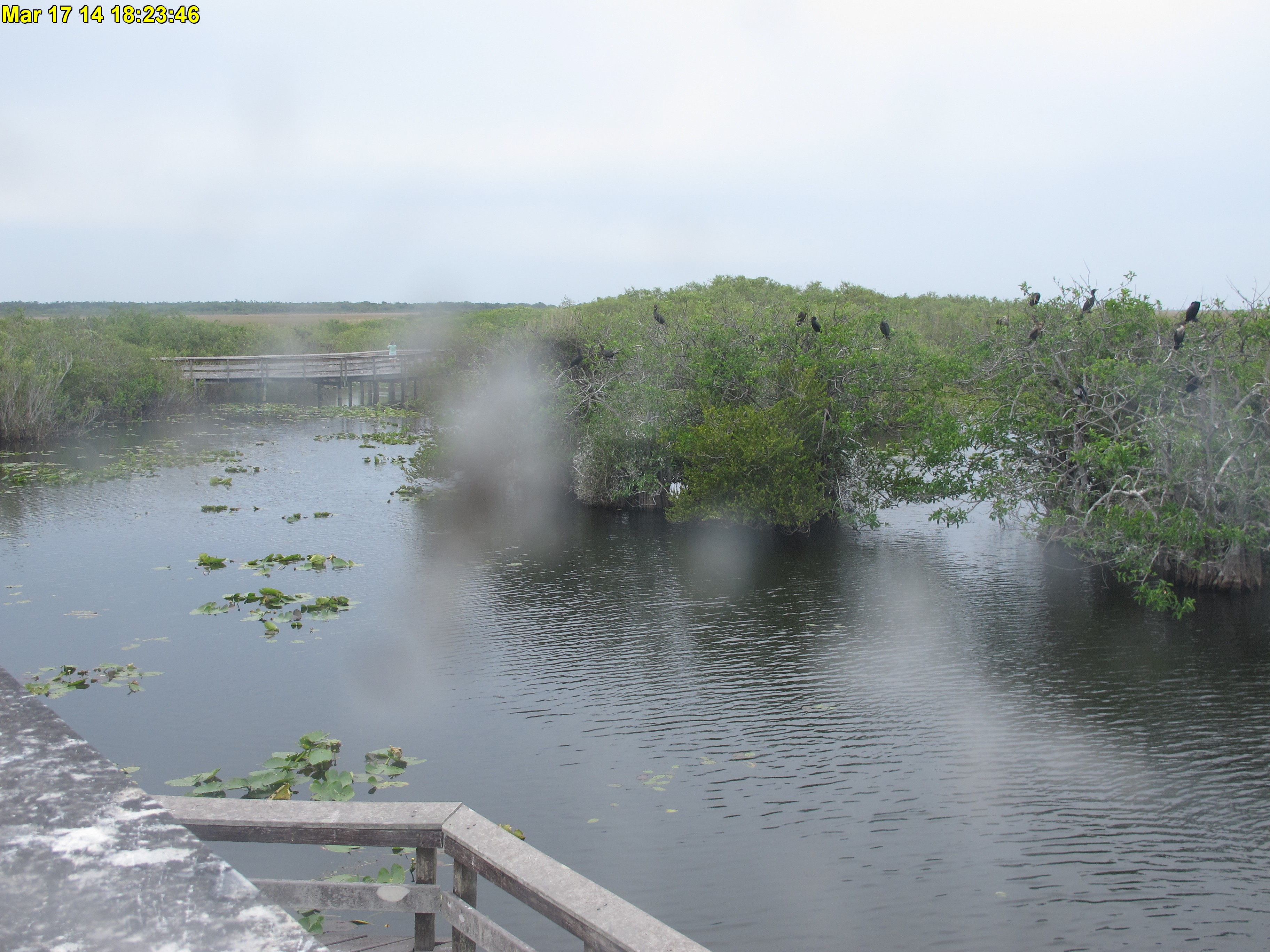 NPS Everglades National Park cam