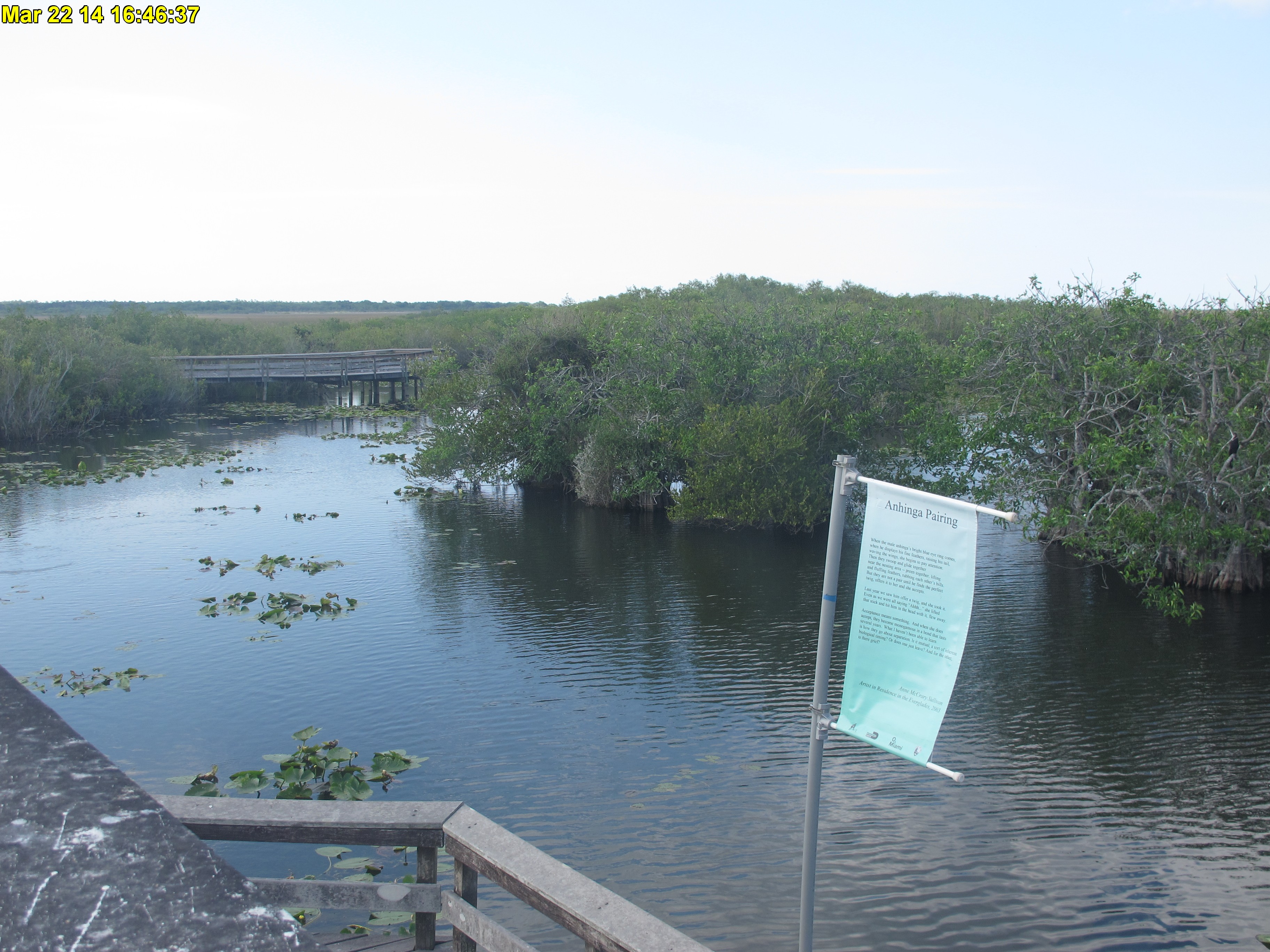 NPS Everglades National Park cam