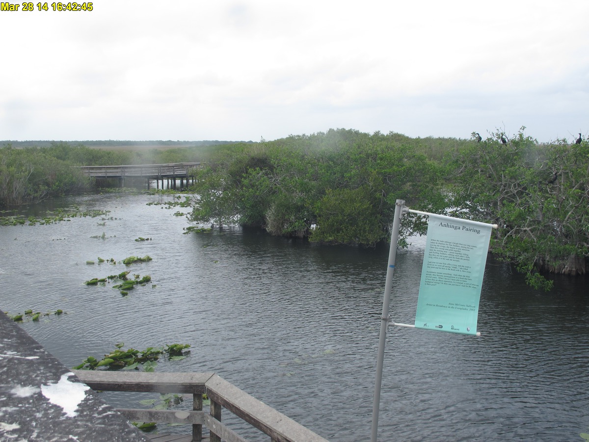 NPS Everglades National Park cam