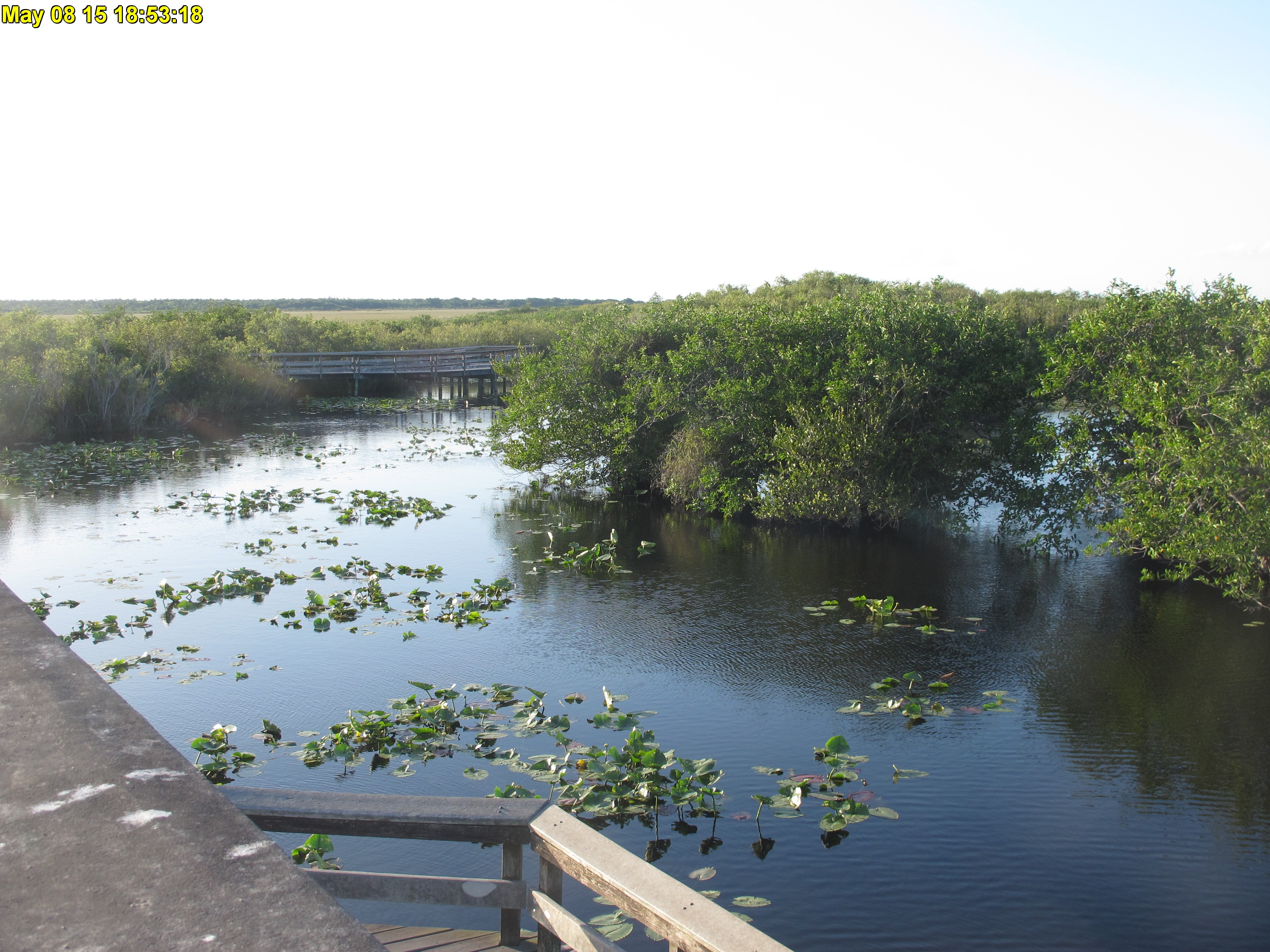 NPS Everglades National Park cam