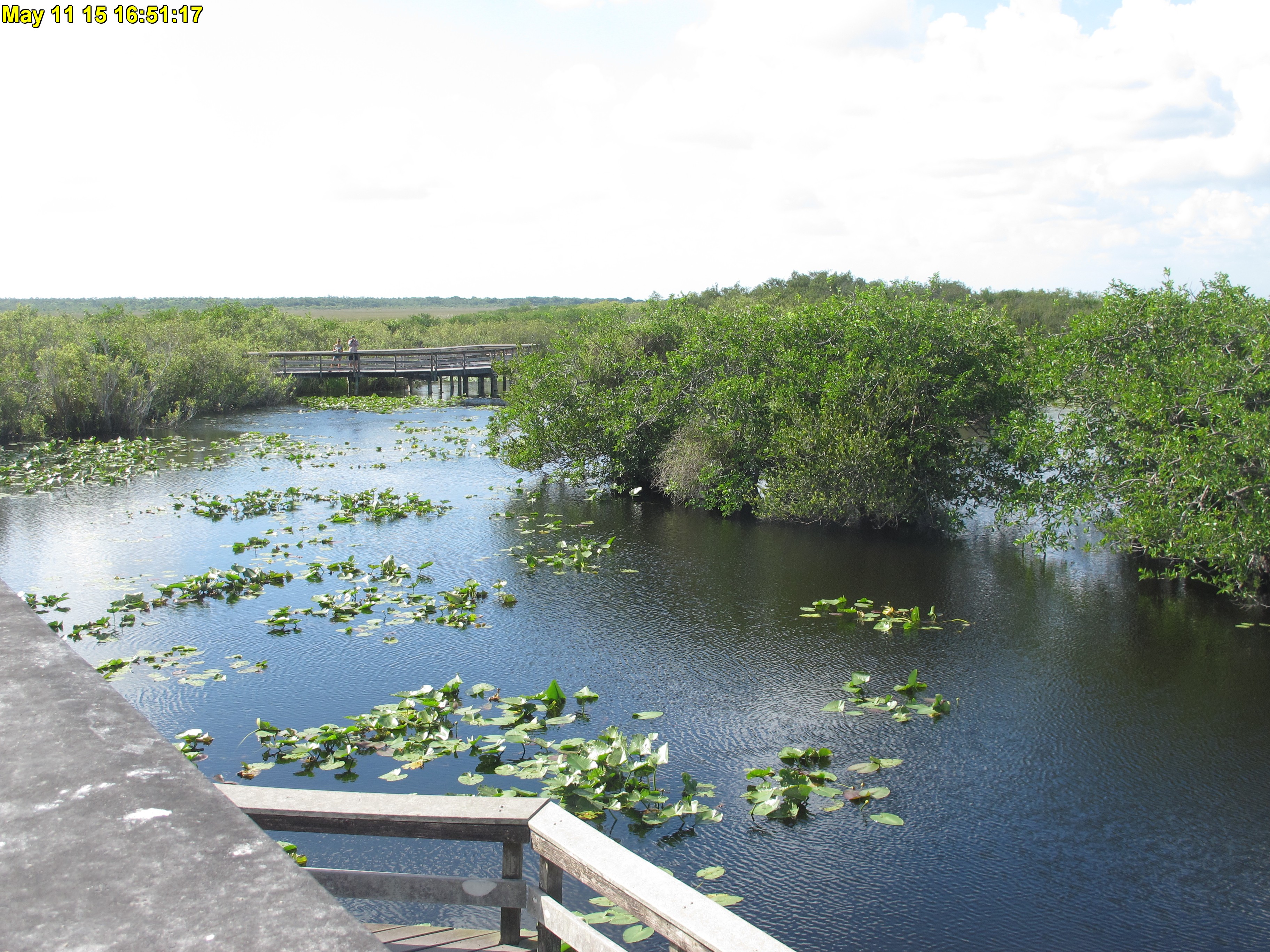 NPS Everglades National Park cam