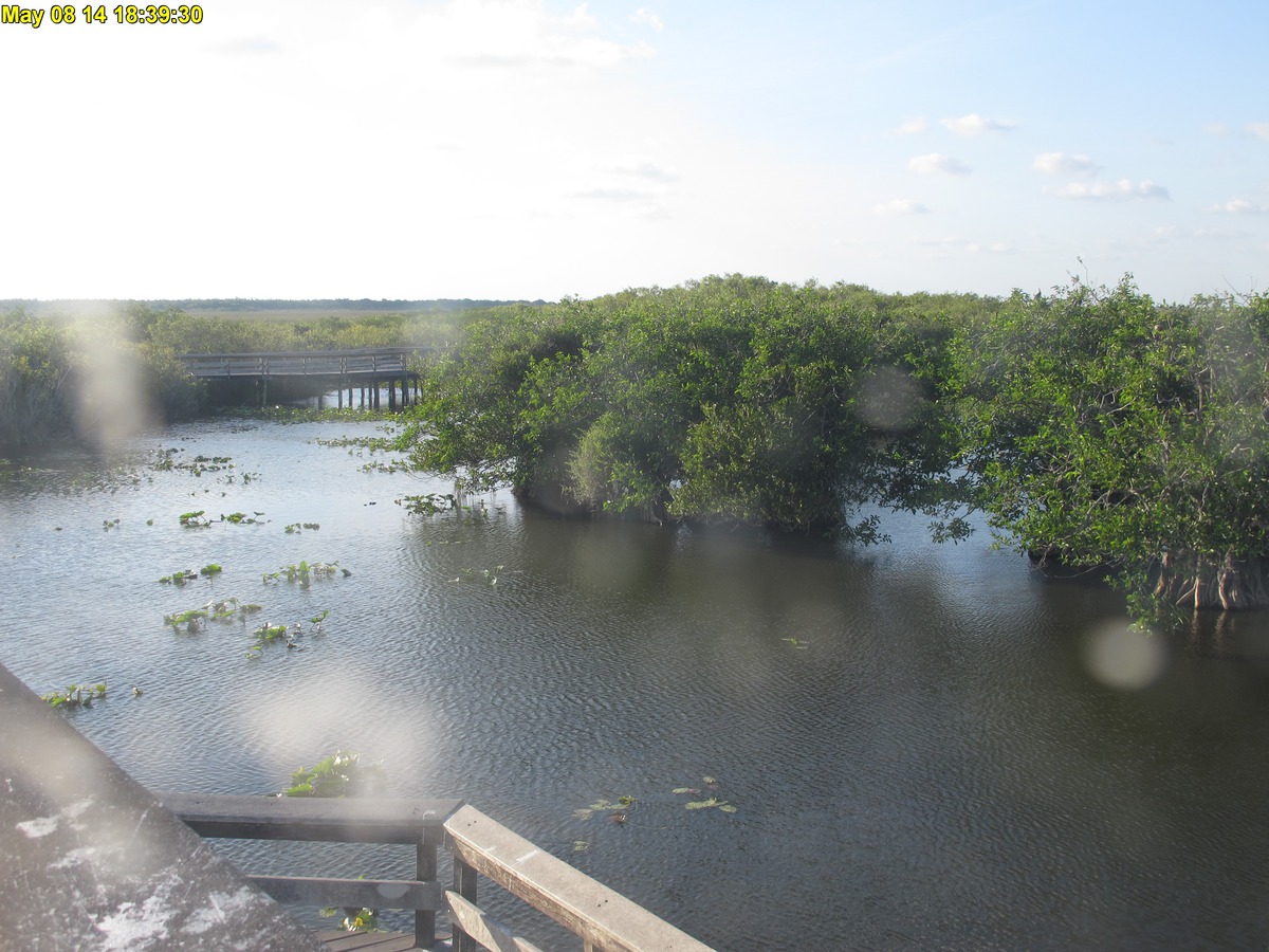 NPS Everglades National Park cam