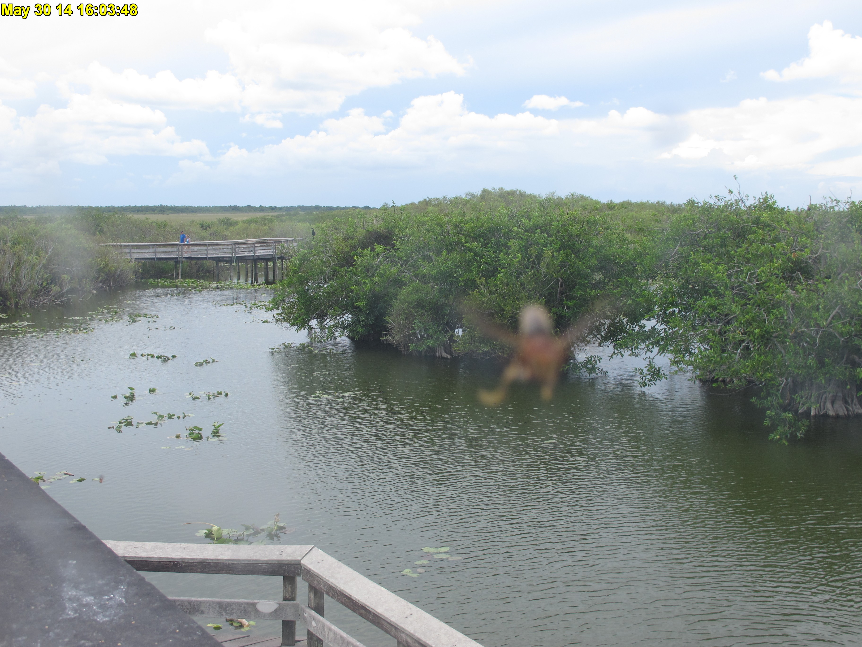 NPS Everglades National Park cam