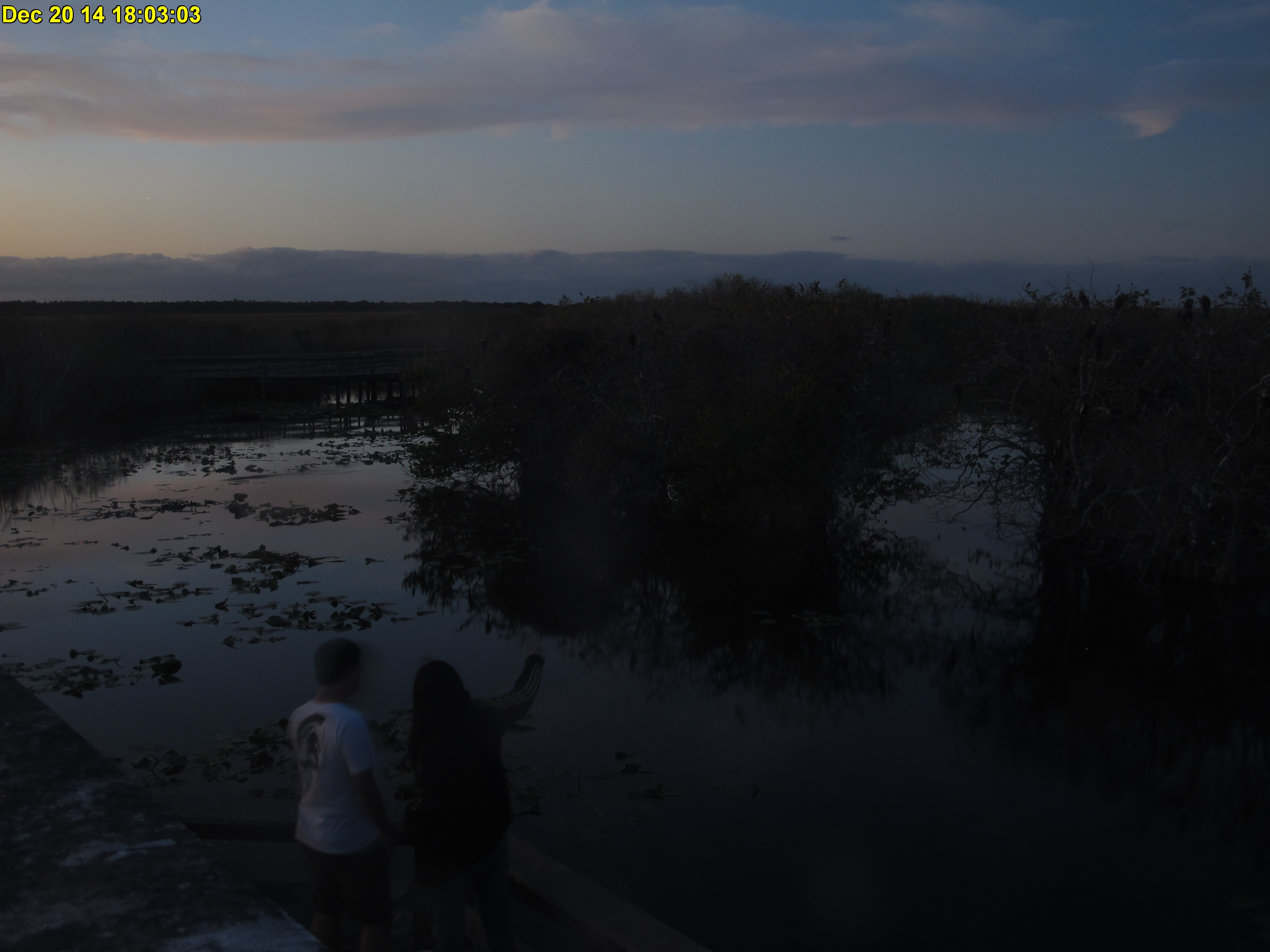 NPS Everglades National Park cam