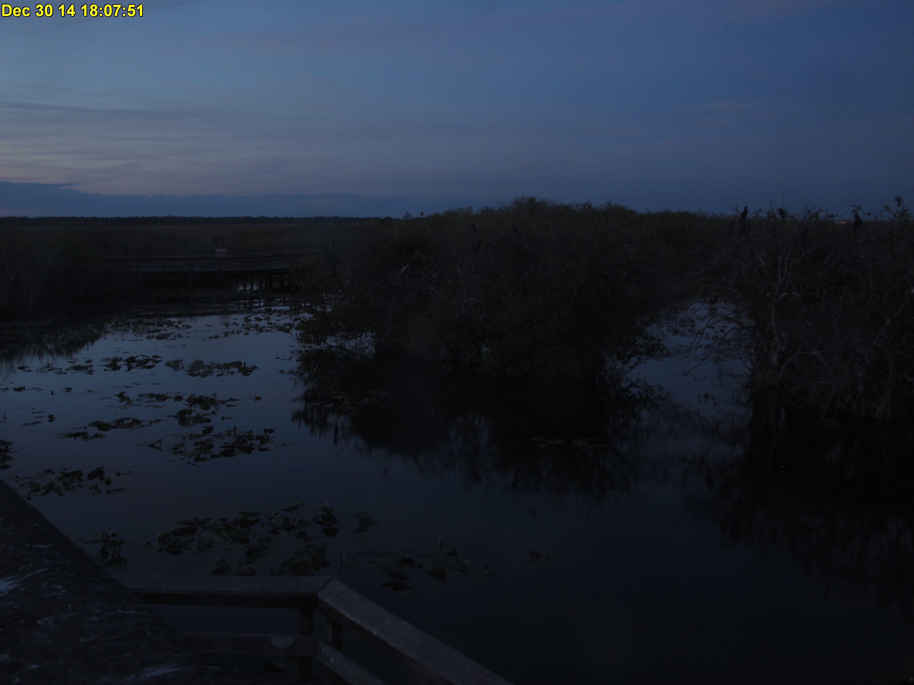 NPS Everglades National Park cam