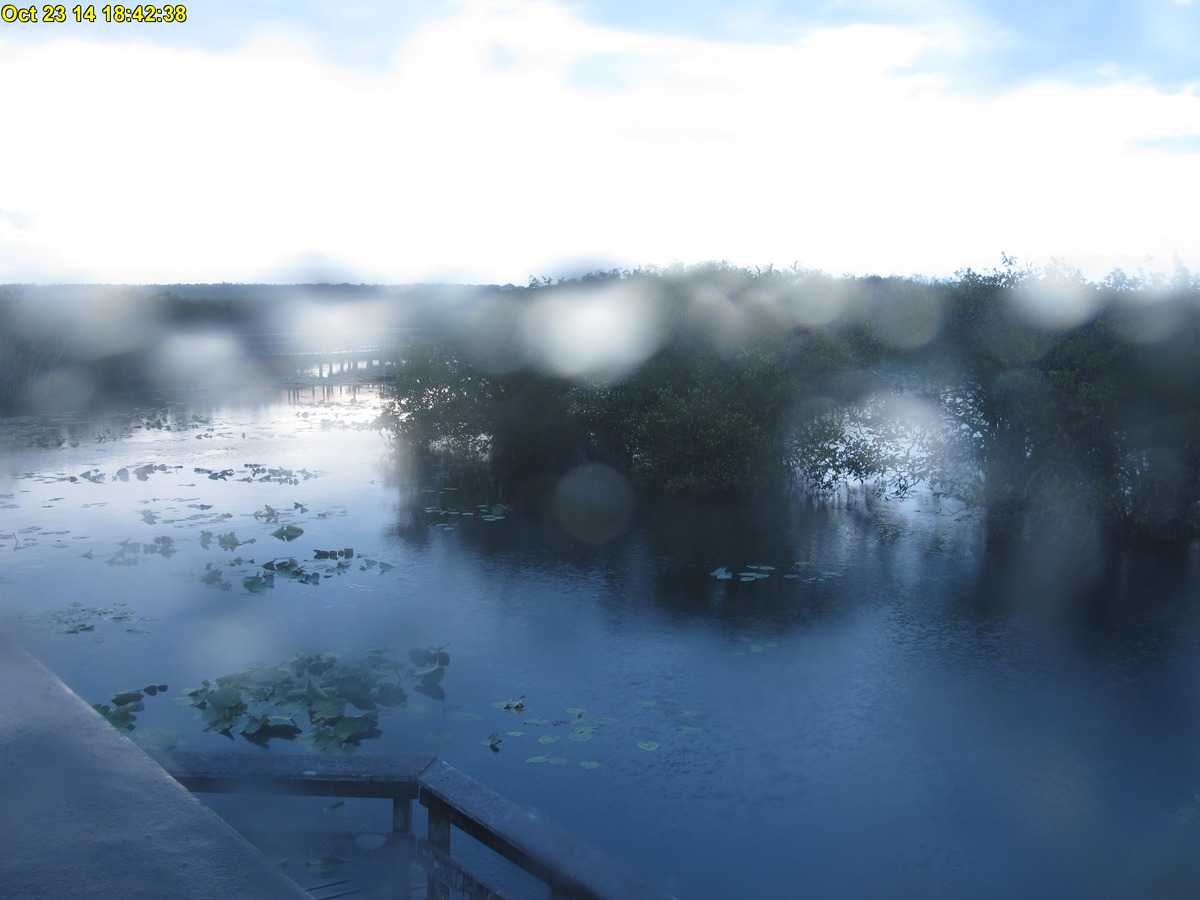 NPS Everglades National Park cam